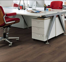 Haro Tritty 100 4V ДУБ КОНТУРА ДЫМЧАТЫЙ 538697 фото 3 | FLOORDEALER